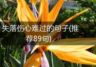 失落伤心难过的句子(推荐89句)