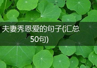 夫妻秀恩爱的句子(汇总50句)