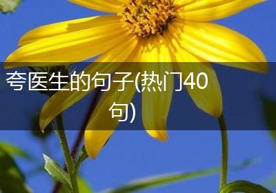 夸医生的句子(热门40句)