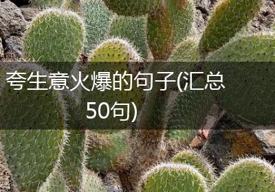 夸生意火爆的句子(汇总50句)