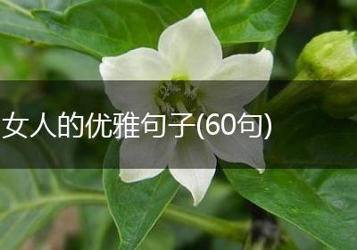 女人的优雅句子(60句)