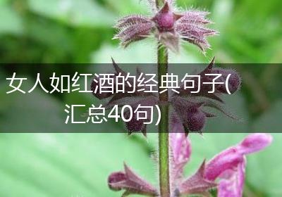 女人如红酒的经典句子(汇总40句)