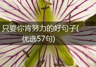 只要你肯努力的好句子(优选57句)