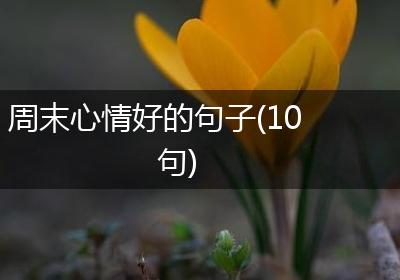 周末心情好的句子(10句)