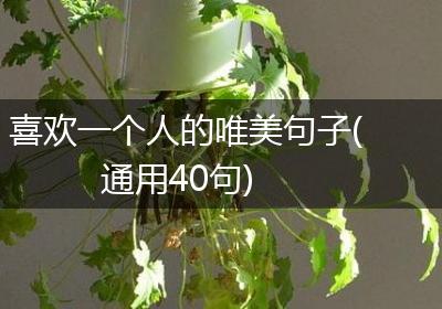 喜欢一个人的唯美句子(通用40句)