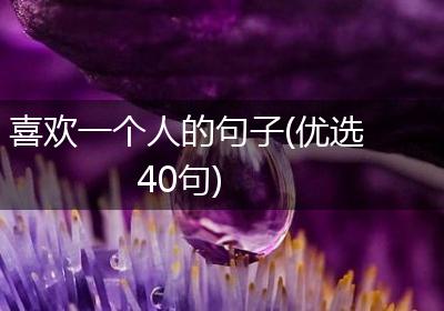 喜欢一个人的句子(优选40句)