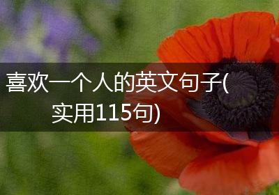 喜欢一个人的英文句子(实用115句)