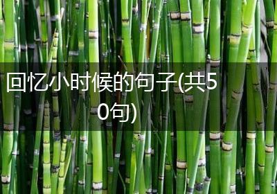 回忆小时候的句子(共50句)