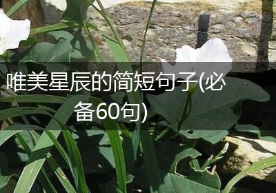 唯美星辰的简短句子(必备60句)