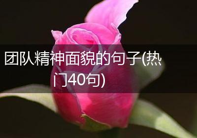 团队精神面貌的句子(热门40句)