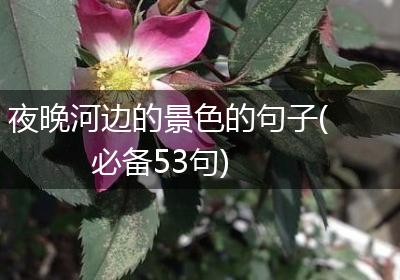 夜晚河边的景色的句子(必备53句)