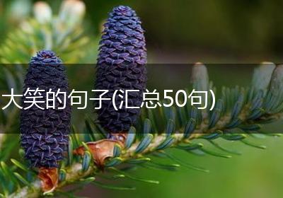 大笑的句子(汇总50句)