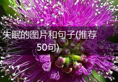 失眠的图片和句子(推荐50句)