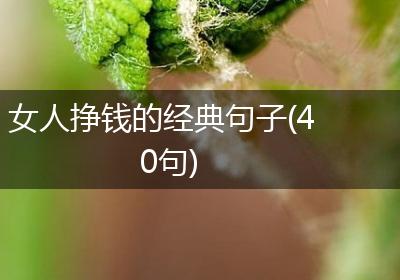 女人挣钱的经典句子(40句)