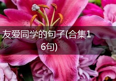友爱同学的句子(合集16句)