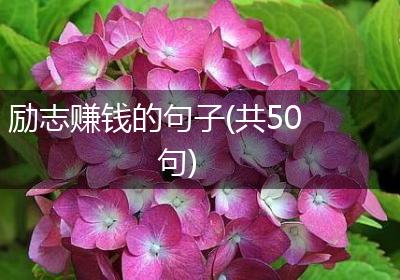 励志赚钱的句子(共50句)