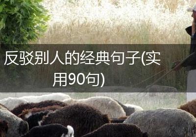 反驳别人的经典句子(实用90句)