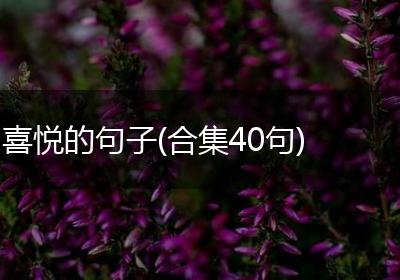 喜悦的句子(合集40句)