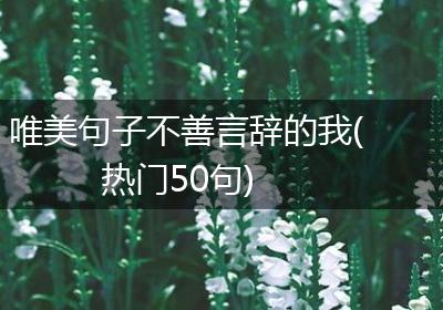 唯美句子不善言辞的我(热门50句)