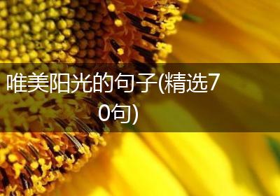 唯美阳光的句子(精选70句)