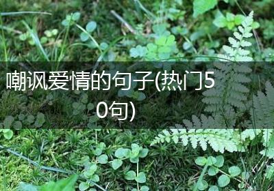 嘲讽爱情的句子(热门50句)