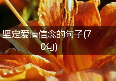坚定爱情信念的句子(70句)