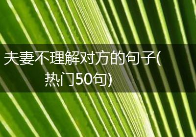 夫妻不理解对方的句子(热门50句)
