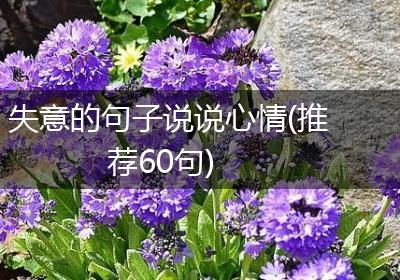 失意的句子说说心情(推荐60句)