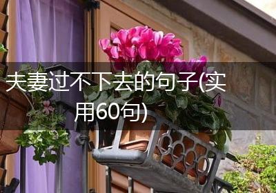 夫妻过不下去的句子(实用60句)