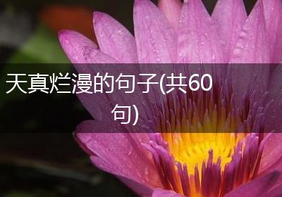 天真烂漫的句子(共60句)