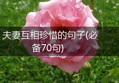 夫妻互相珍惜的句子(必备70句)