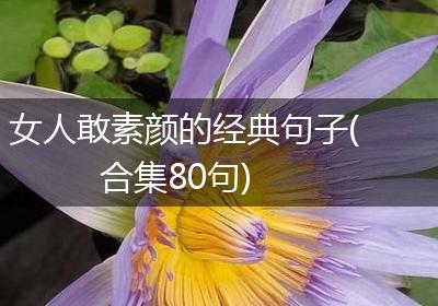 女人敢素颜的经典句子(合集80句)