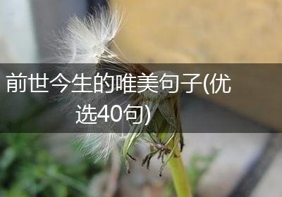 前世今生的唯美句子(优选40句)