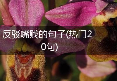 反驳嘴贱的句子(热门20句)