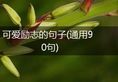 可爱励志的句子(通用90句)