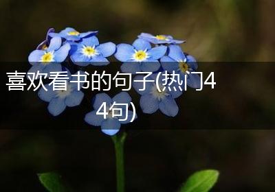 喜欢看书的句子(热门44句)