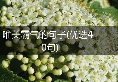 唯美霸气的句子(优选40句)