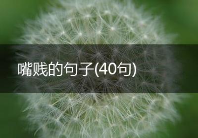 嘴贱的句子(40句)