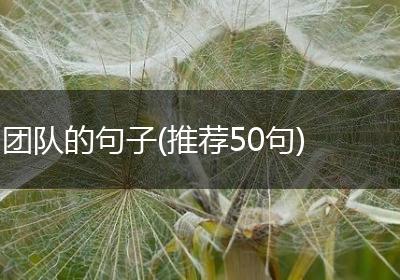 团队的句子(推荐50句)