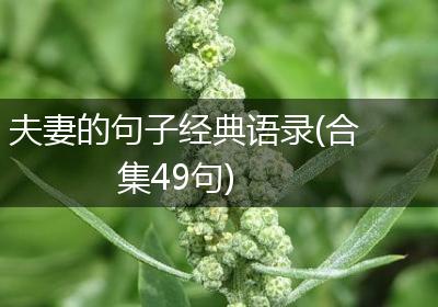 夫妻的句子经典语录(合集49句)