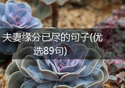 夫妻缘分已尽的句子(优选89句)