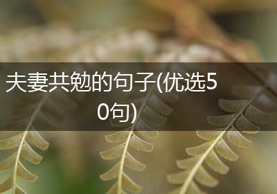 夫妻共勉的句子(优选50句)