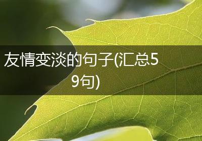 友情变淡的句子(汇总59句)