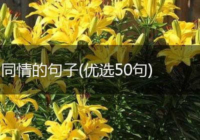 同情的句子(优选50句)