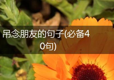 吊念朋友的句子(必备40句)