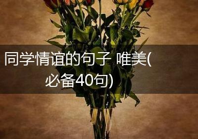 同学情谊的句子 唯美(必备40句)