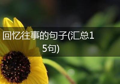 回忆往事的句子(汇总15句)