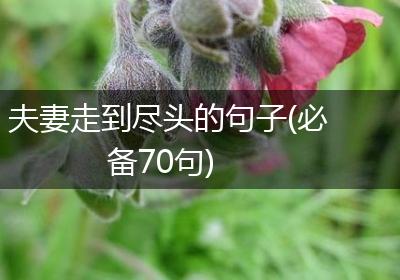 夫妻走到尽头的句子(必备70句)