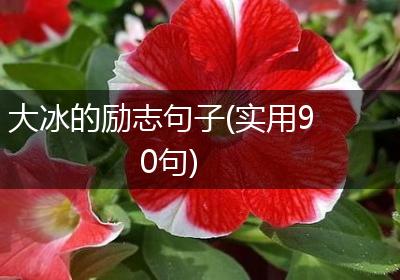 大冰的励志句子(实用90句)