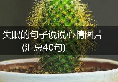 失眠的句子说说心情图片(汇总40句)